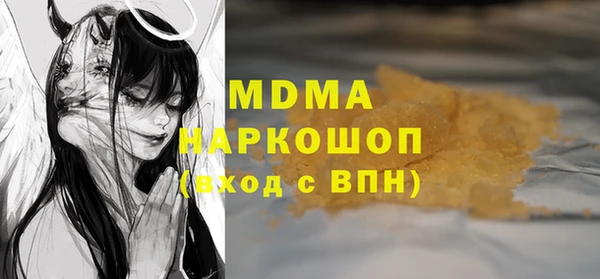 spice Дмитриев
