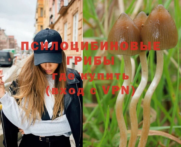 mdpv Алзамай