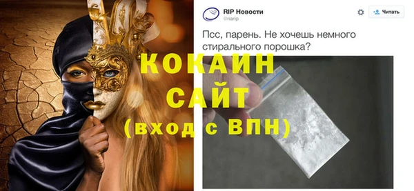 apvp Инта