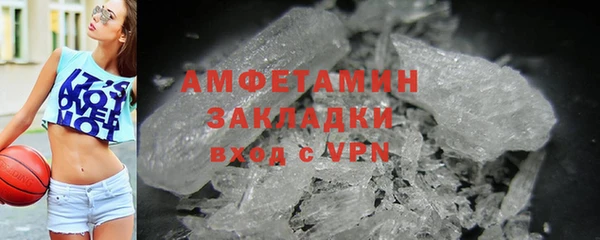 ПСИЛОЦИБИНОВЫЕ ГРИБЫ Ельня